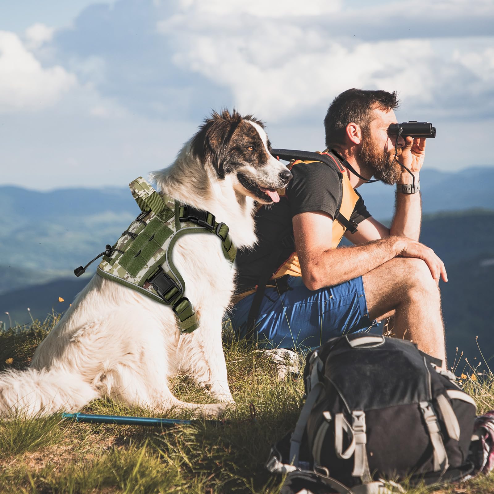 WINGOIN Tactical Dog Harness shown fitted on a medium dog outdoors.