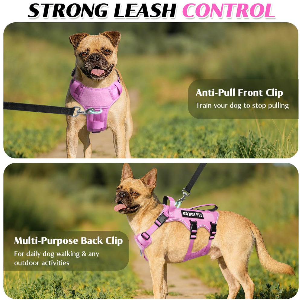 WINSEE dog harness detail showing the adjustable neck, chest and belly straps.