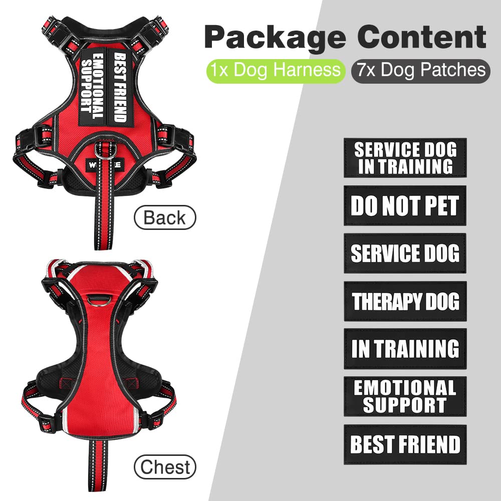 WINSEE dog harness detail showing adjusters and reinforced stitching.