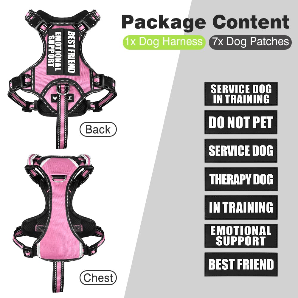 WINSEE dog harness neck and chest adjustment straps shown clearly.