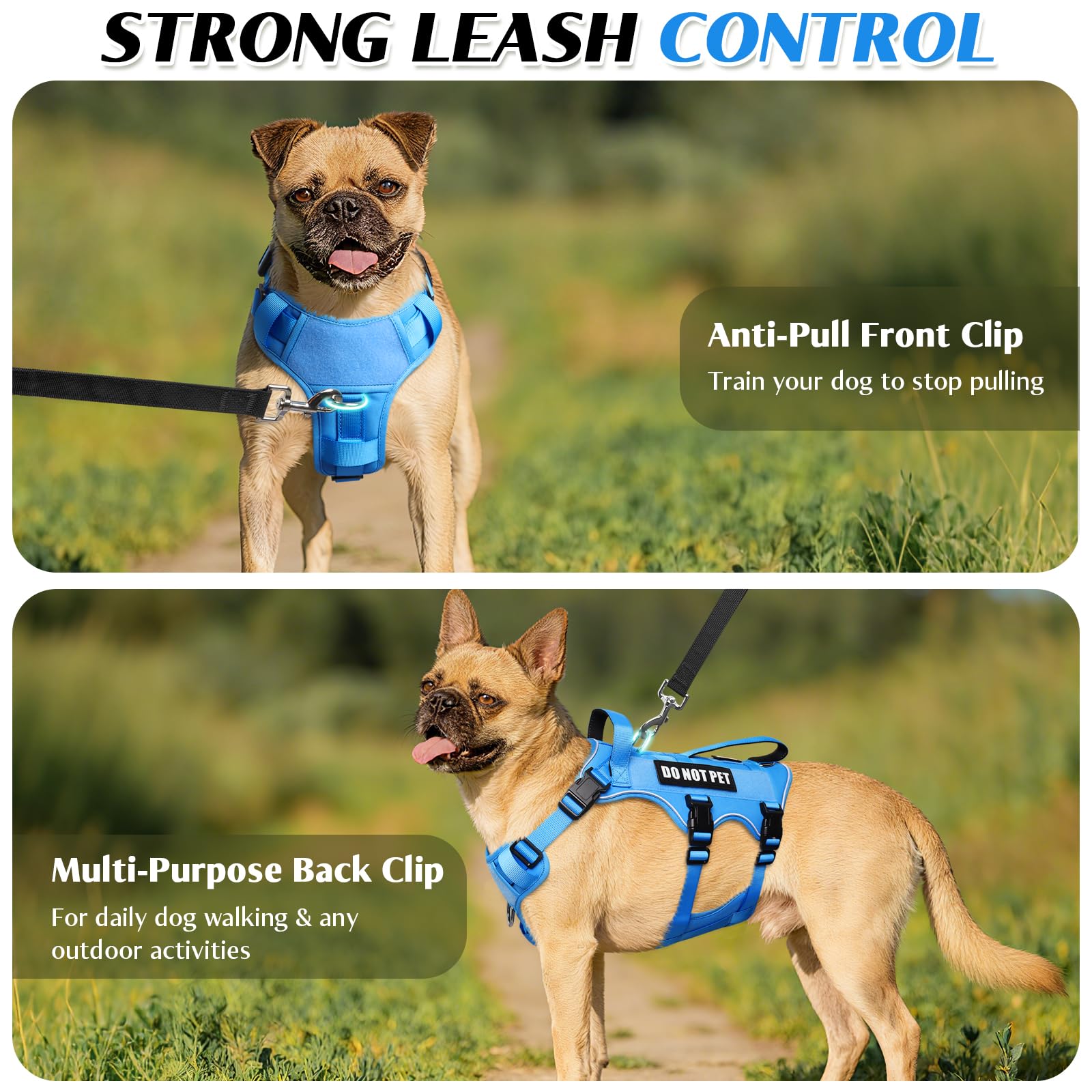 WINSEE dog harness adjustment straps shown around the neck, chest, and belly.