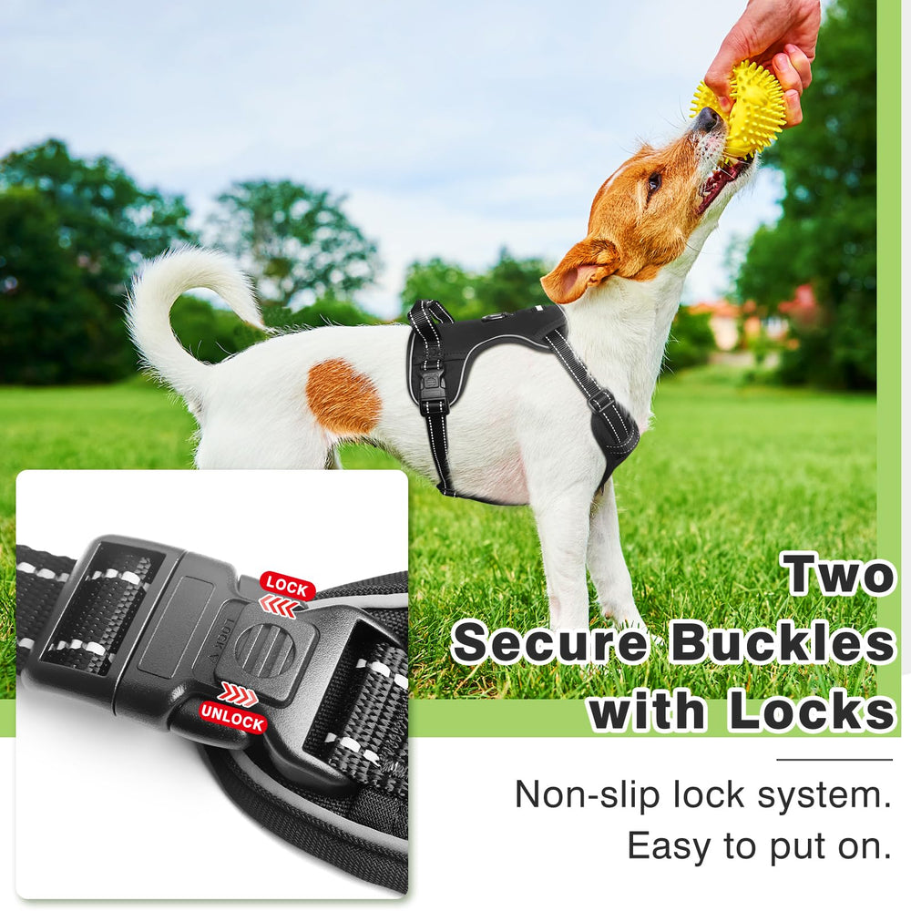 WINSEE dog harness showing the adjustable neck and chest straps.