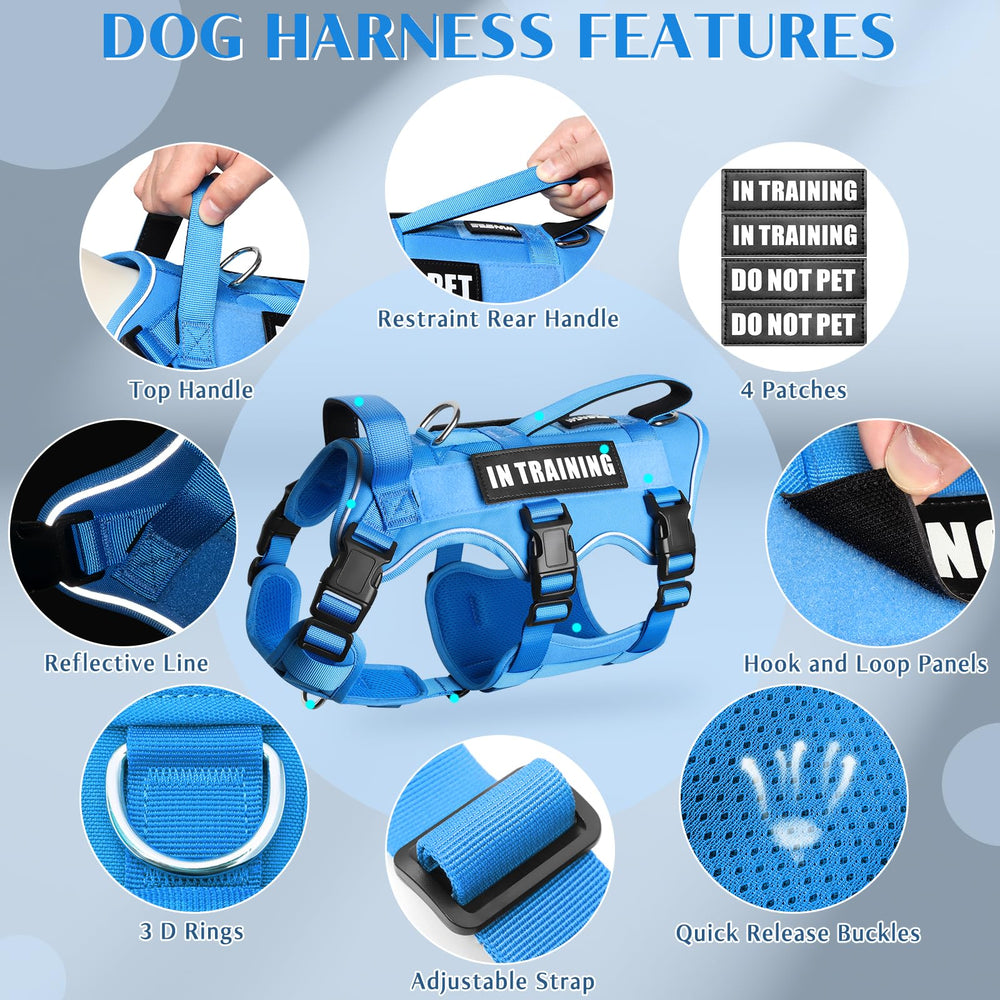 WINSEE dog harness back view showing the sealed metal D-ring attachment point.