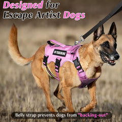 WINSEE dog harness back view highlighting the metal D-ring leash attachment.