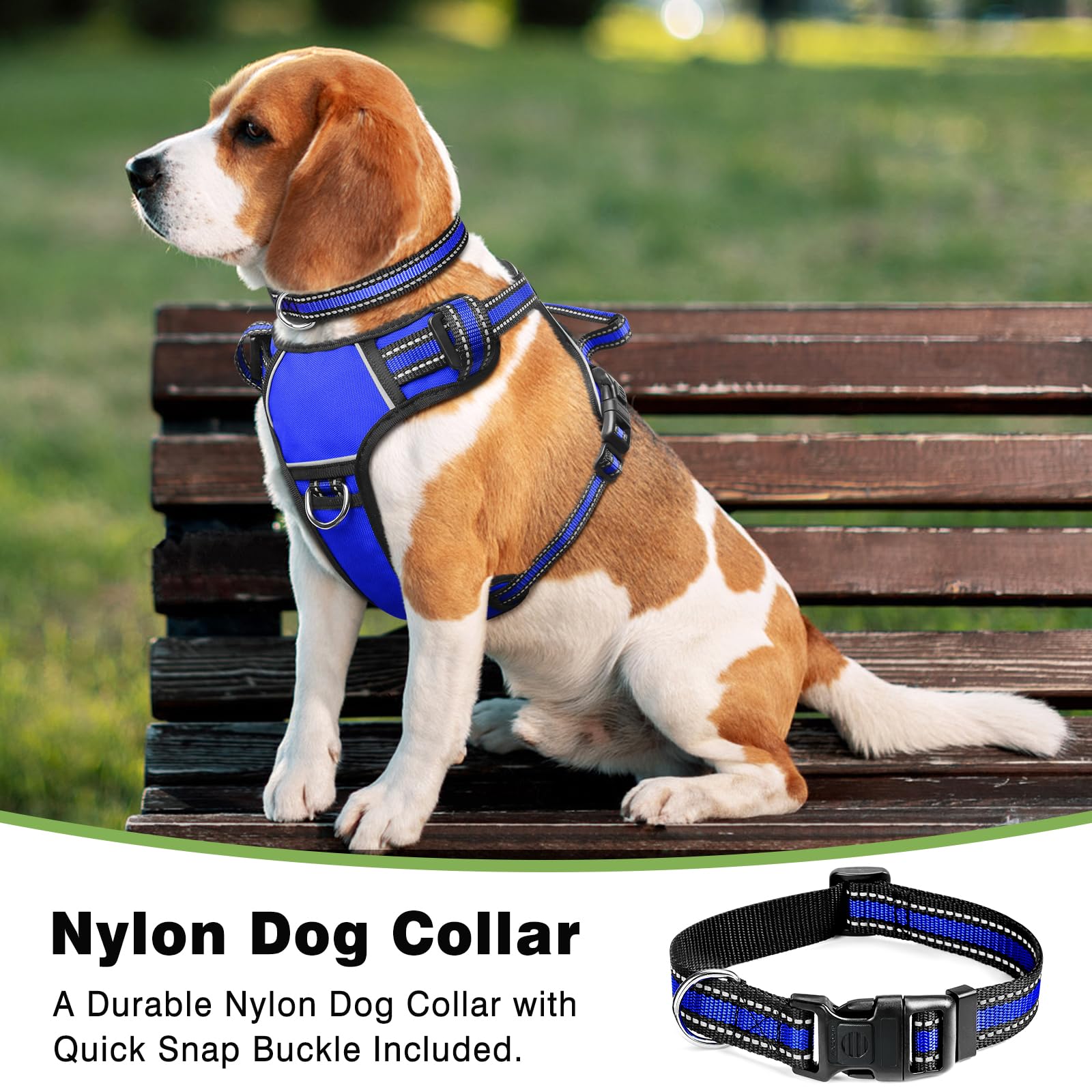 WINSEE dog harness back handle shown in detail.