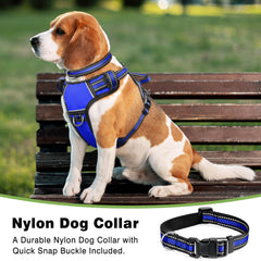 WINSEE dog harness back handle shown in detail.