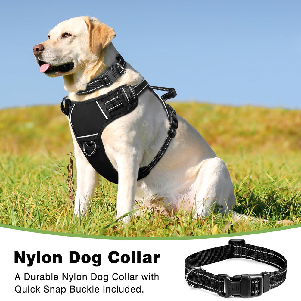 WINSEE dog harness viewed from behind, highlighting the fabric control handle.