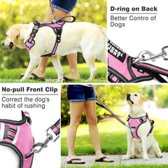 WINSEE dog harness back leash attachment shown in close-up.