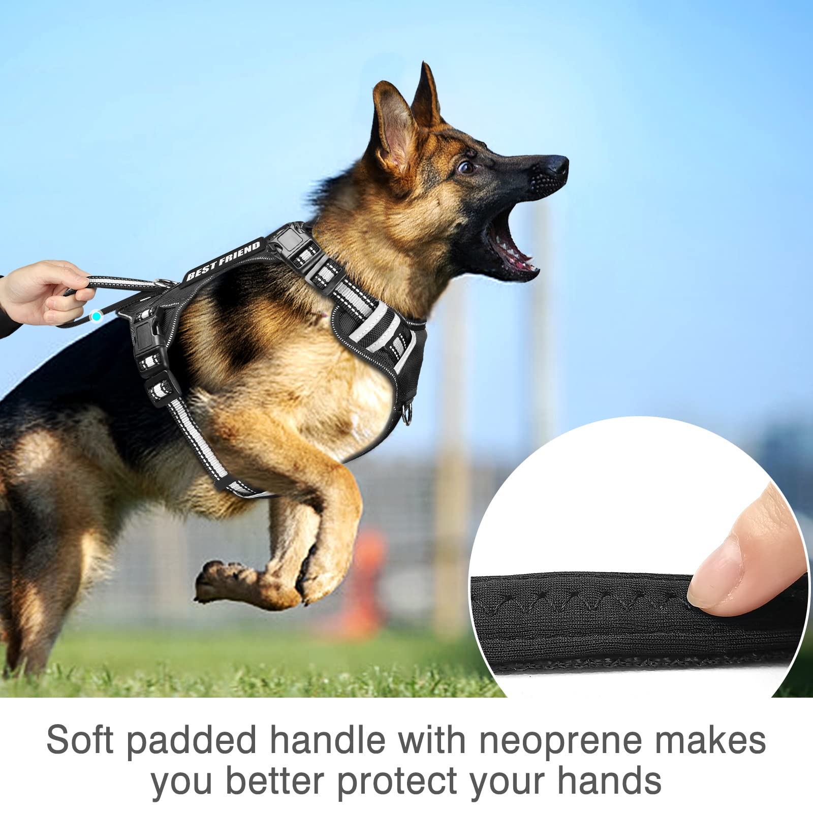 WINSEE dog harness shown from the back with its leash attachment.