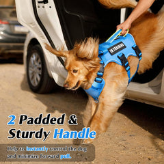 WINSEE dog harness detail showing the chest and belly straps that help secure the fit.