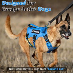 WINSEE dog harness close-up showing the padded double handle for guiding and lifting support.
