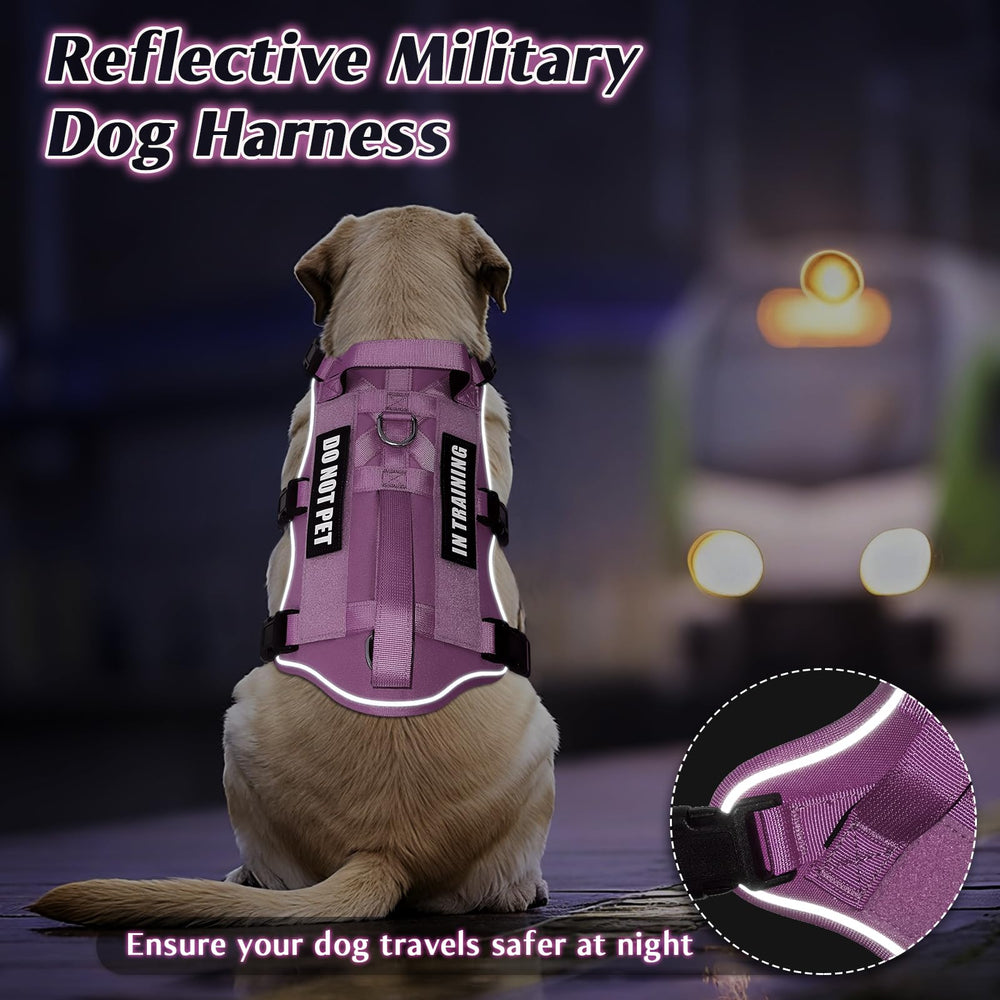WINSEE dog harness detail highlighting the double-handle design and padded carrying handle.