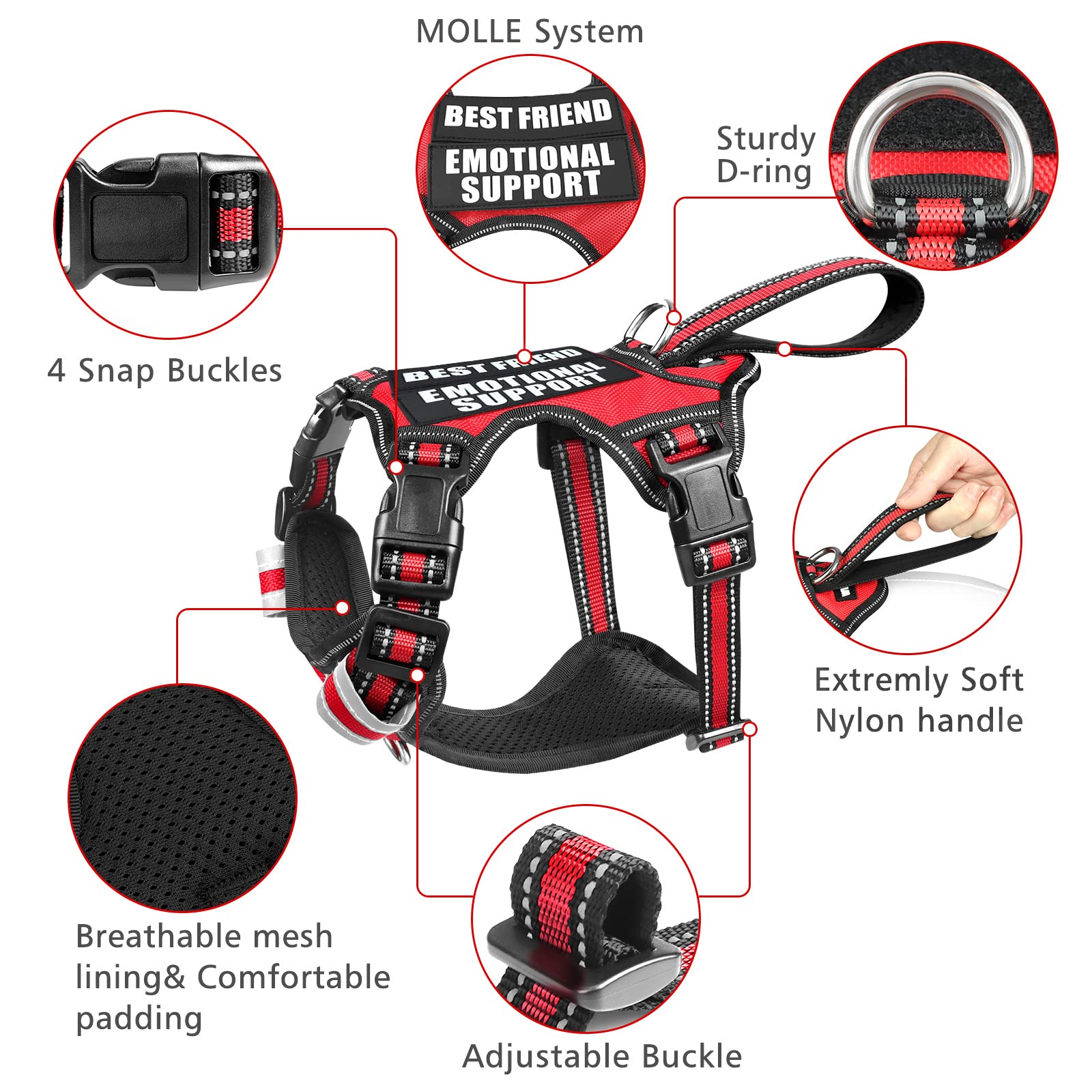 WINSEE dog harness close-up showing the front leash attachment ring.