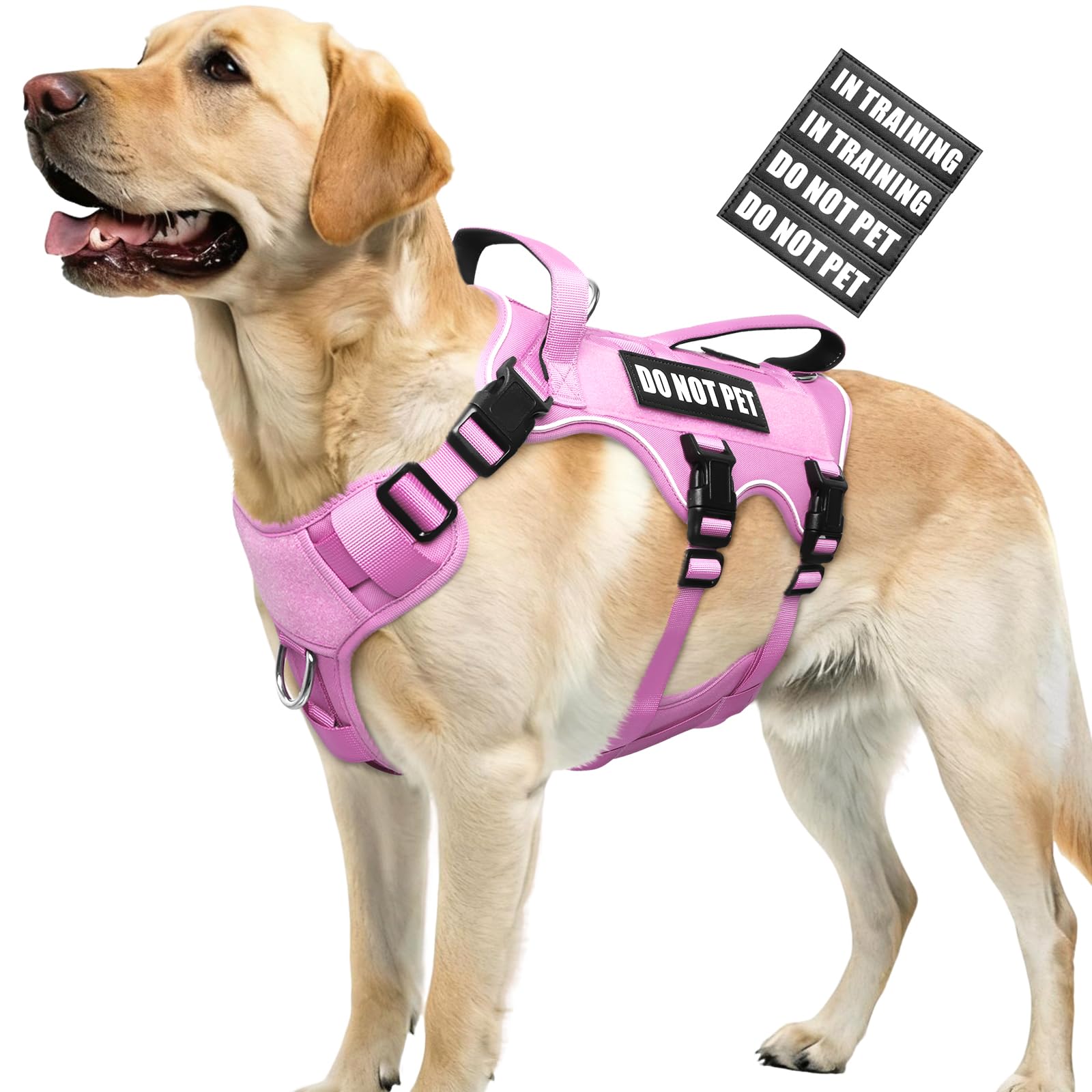 WINSEE dog harness shown from the front with its straps and overall design visible.