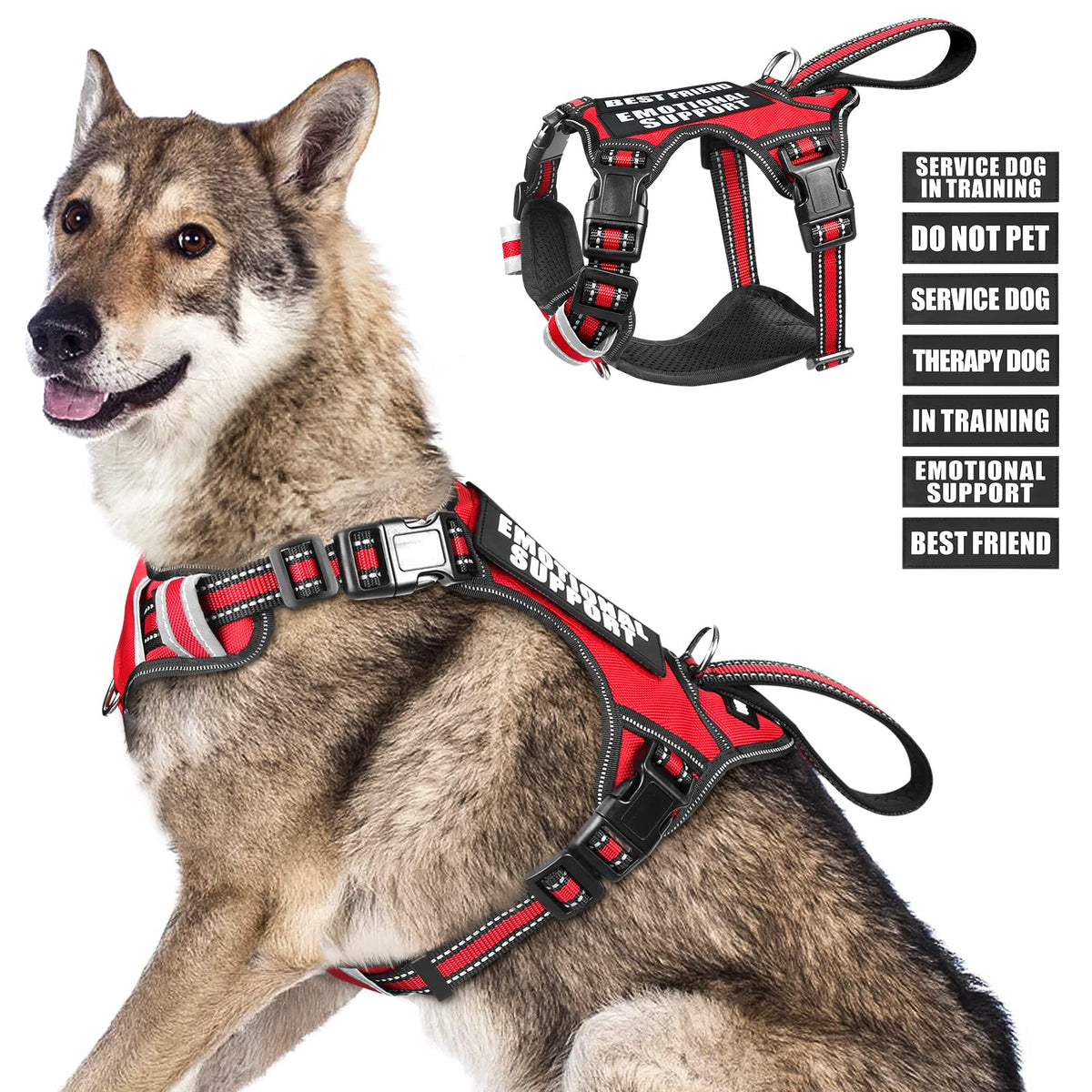 WINSEE dog harness shown from the front with its vest shape visible.