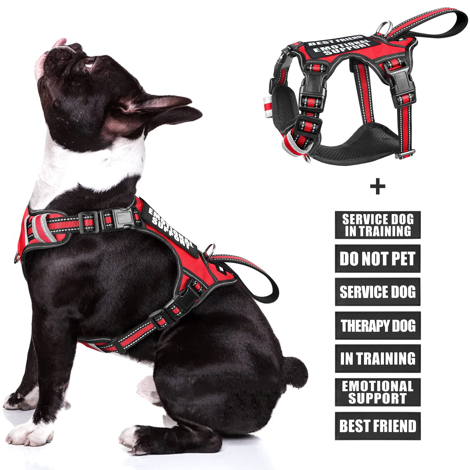 WINSEE dog harness shown from the front in red.