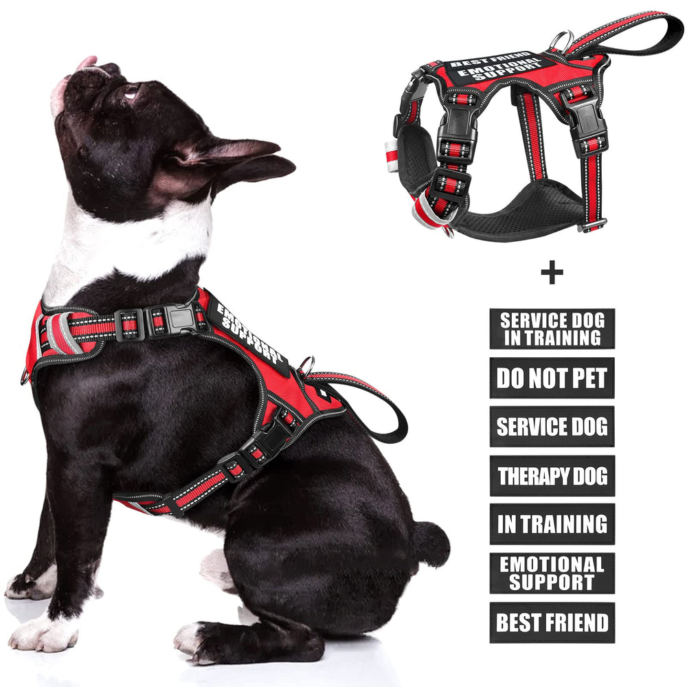 WINSEE dog harness shown from the front in red.