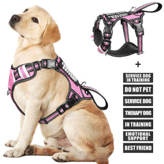 WINSEE dog harness shown from the front in pink.