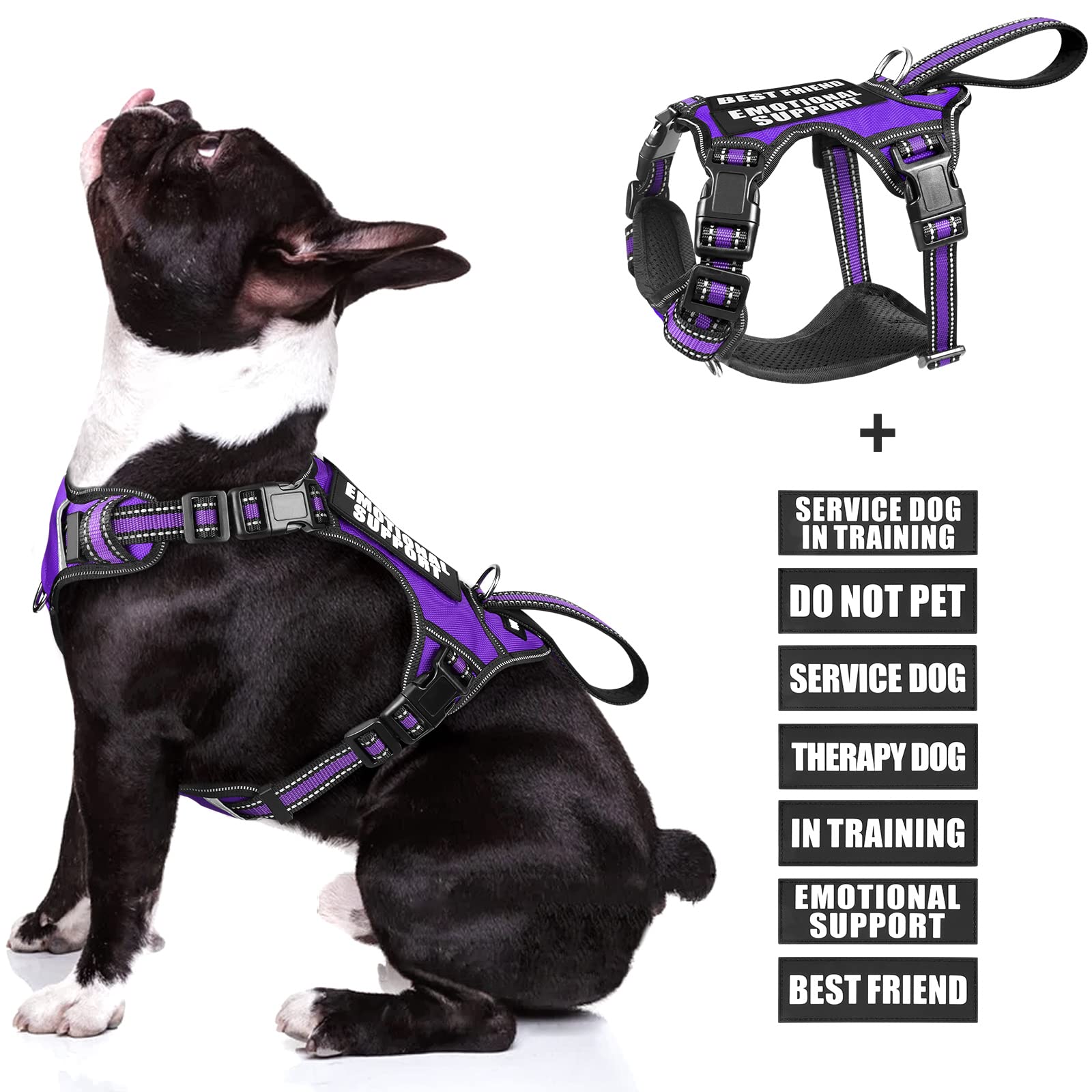 WINSEE dog harness shown from the front with its vest shape and straps visible.