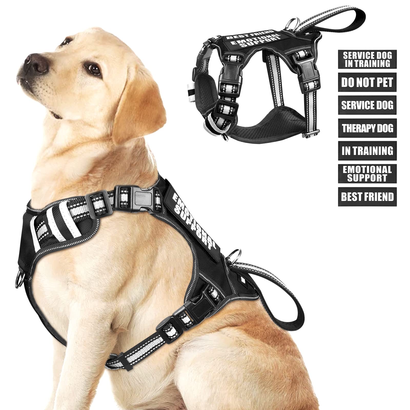 WINSEE dog harness shown from the front with its vest design.