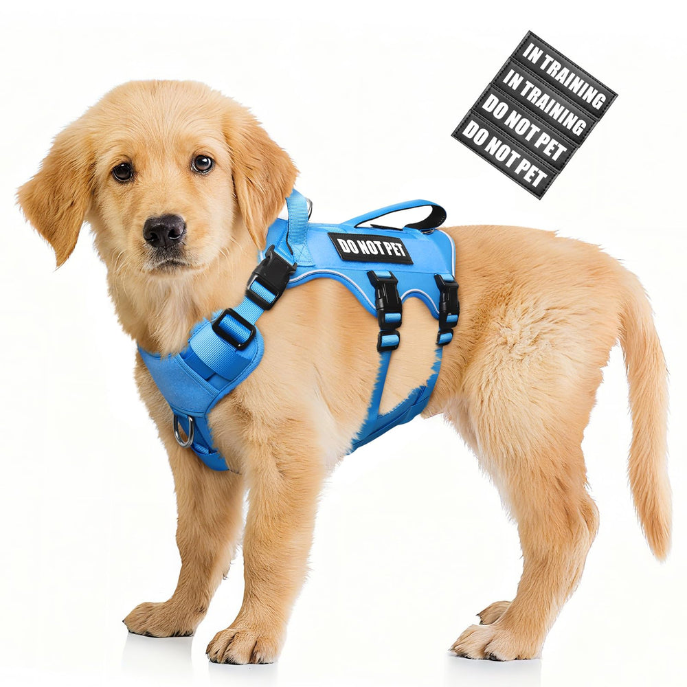 WINSEE dog harness shown from the front with its adjustable chest and belly design.