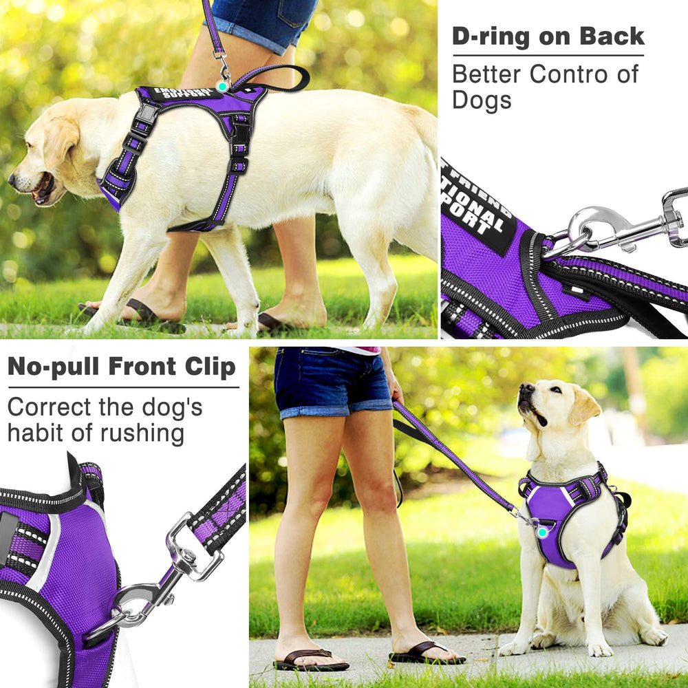 WINSEE dog harness handle and reinforced stitching shown in detail.
