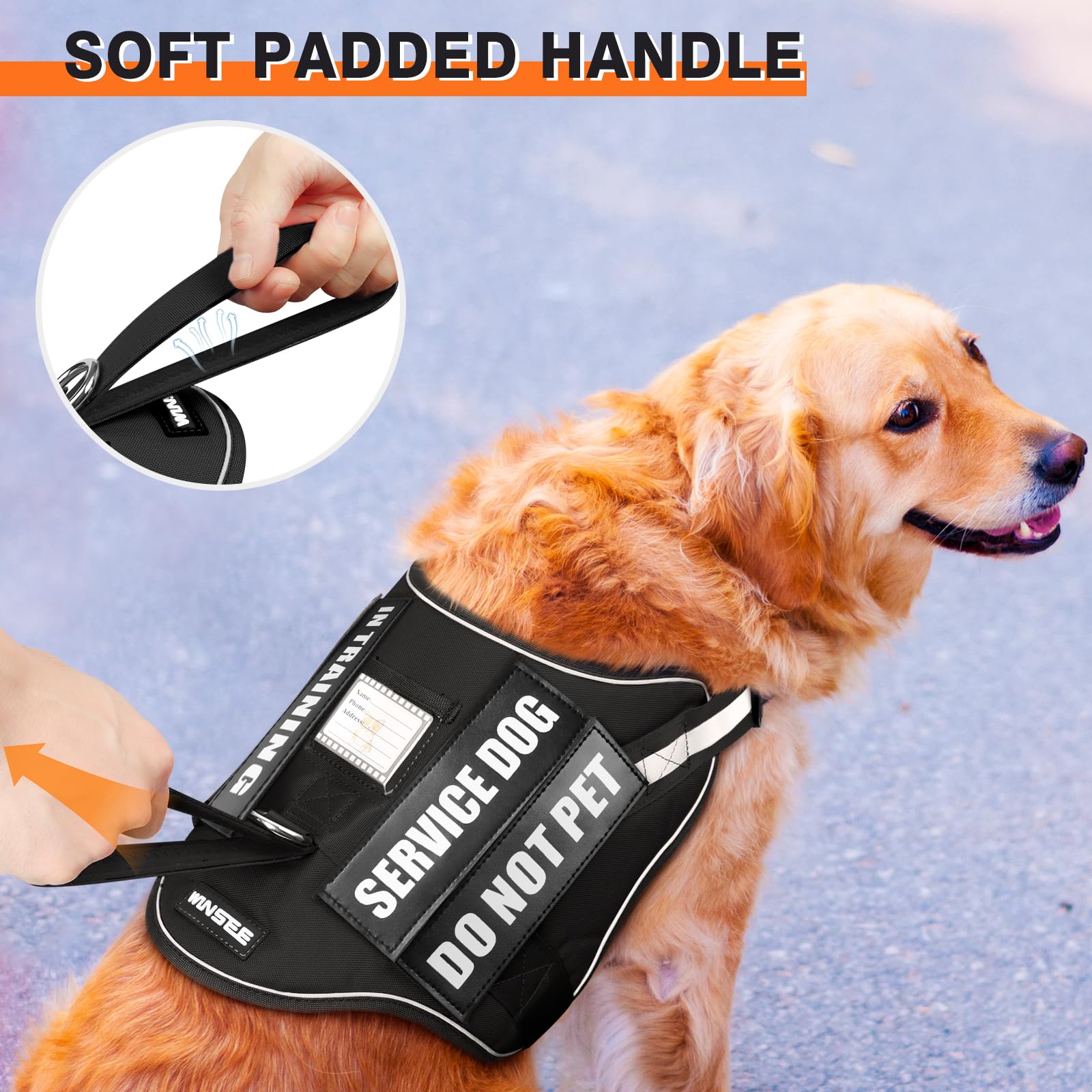 WINSEE dog harness set showing the leash and included patches.