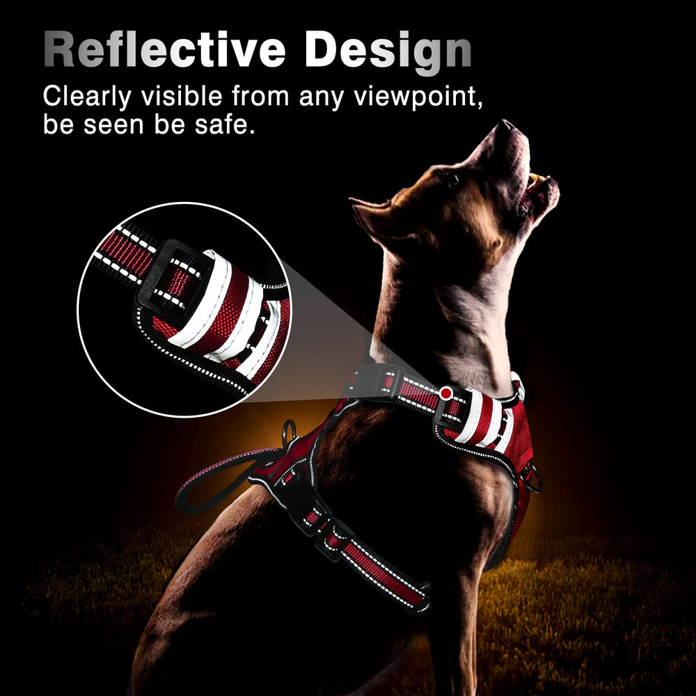 WINSEE dog harness with front and back leash attachment rings.