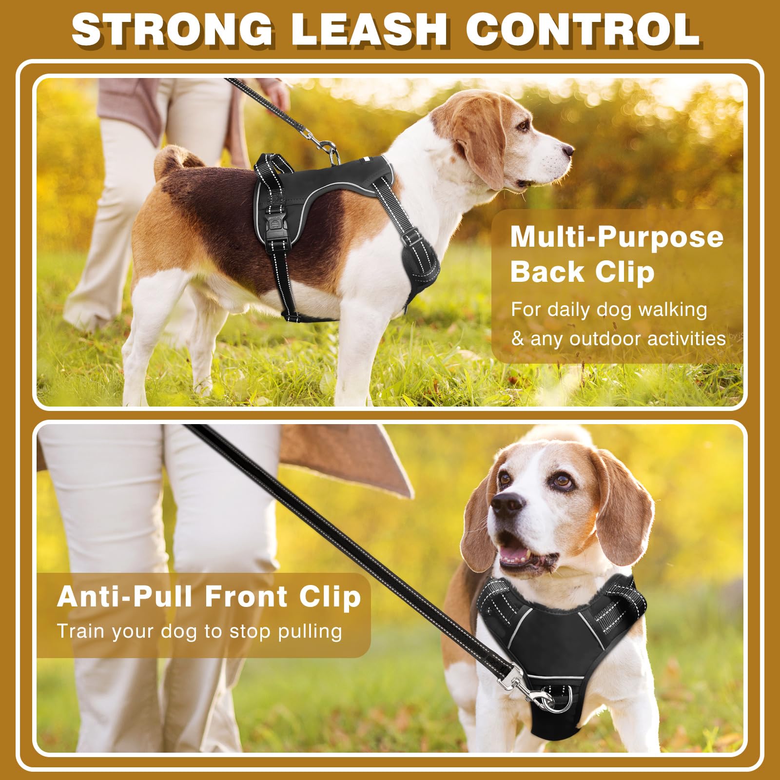 WINSEE dog harness buckle close-up showing its snap fastener and slide lock.