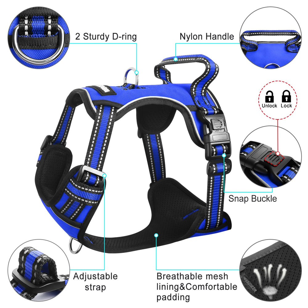 WINSEE dog harness quick-snap buckle and slide lock shown in detail.