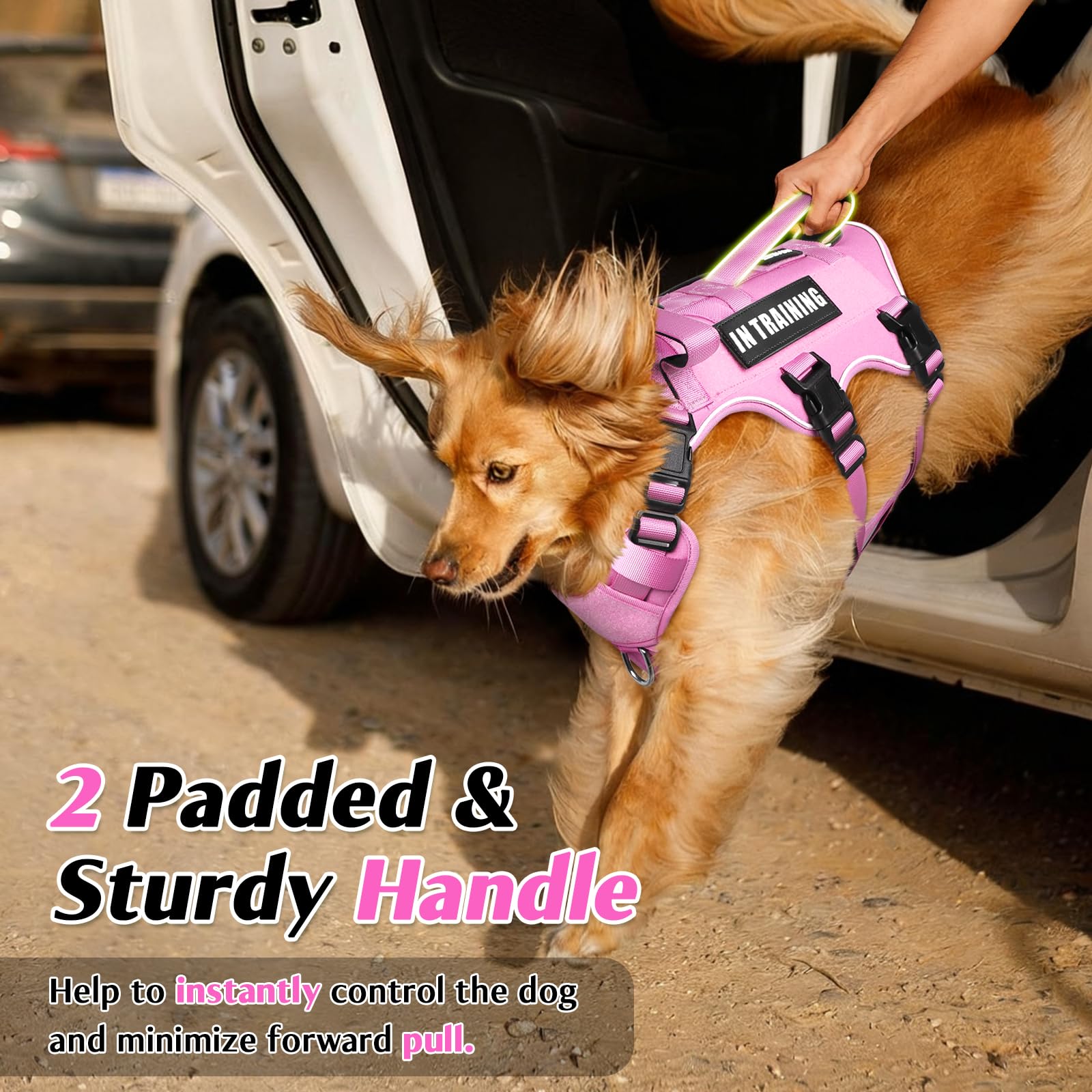 WINSEE dog harness close-up showing breathable padded air mesh and soft sponge padding.
