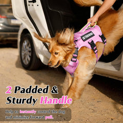 WINSEE dog harness close-up showing breathable padded air mesh and soft sponge padding.