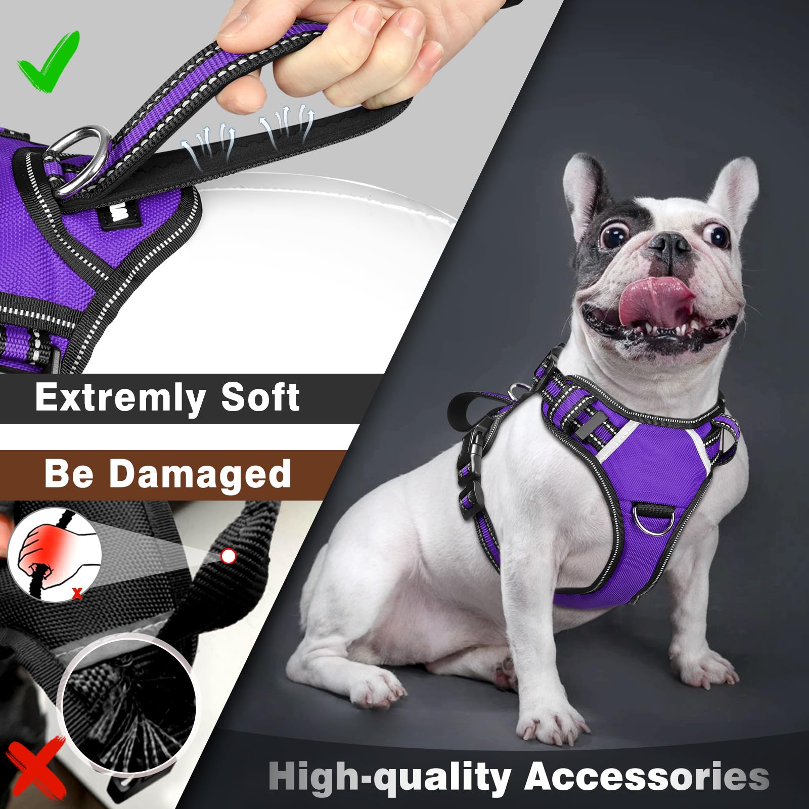 WINSEE dog harness pictured with its included sewn-message patches.