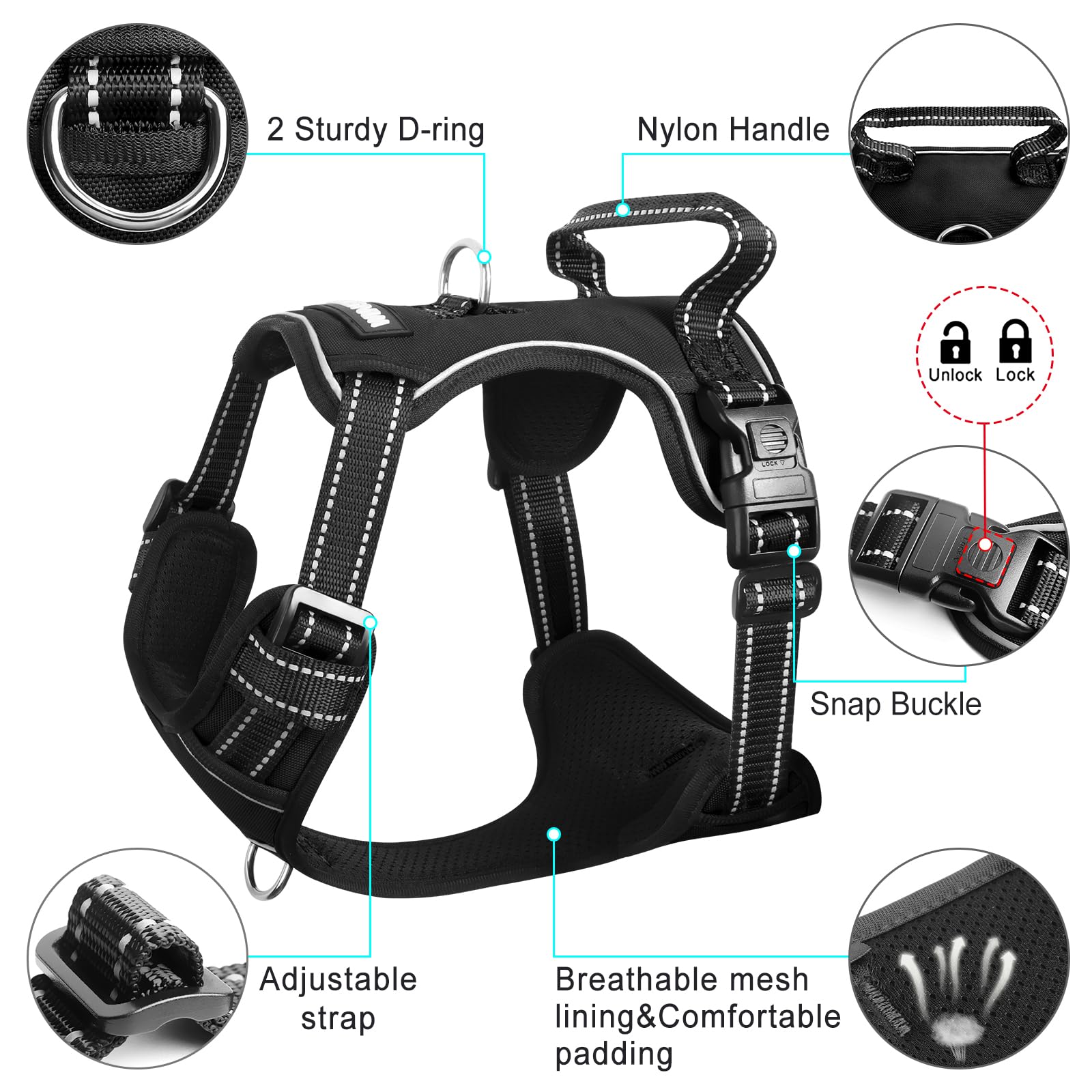 WINSEE dog harness detail showing the metal front and back leash rings.