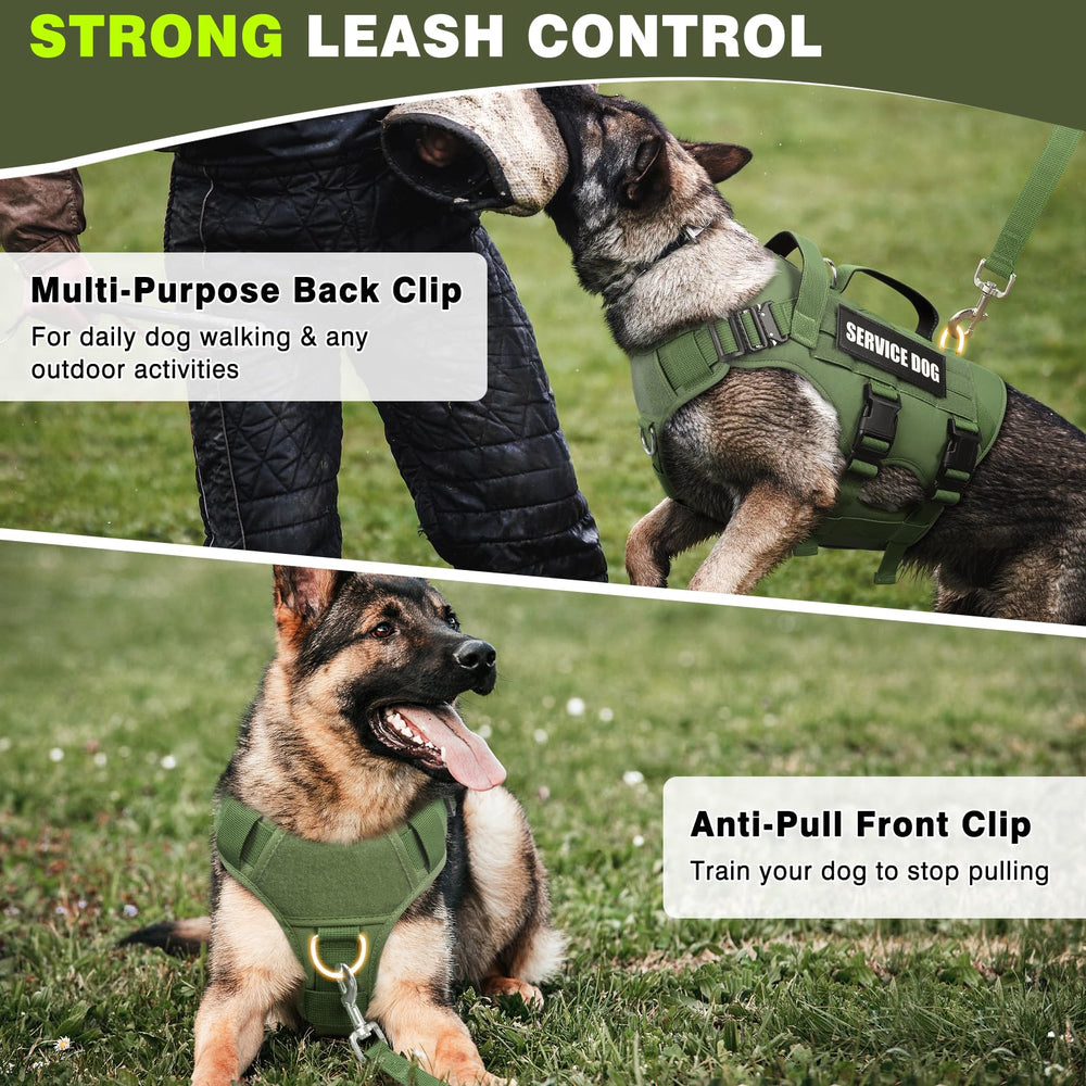 WINSEE dog harness close-up showing the MOLLE panels on both sides.