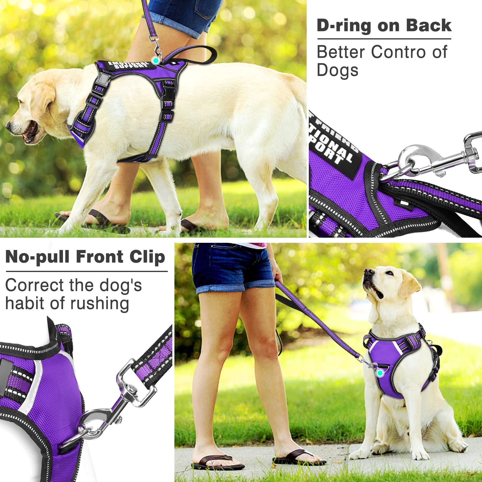 WINSEE dog harness shown fitted on a dog for a walking view.