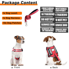 WINSEE dog harness displayed with its sewn-letter identification patches.