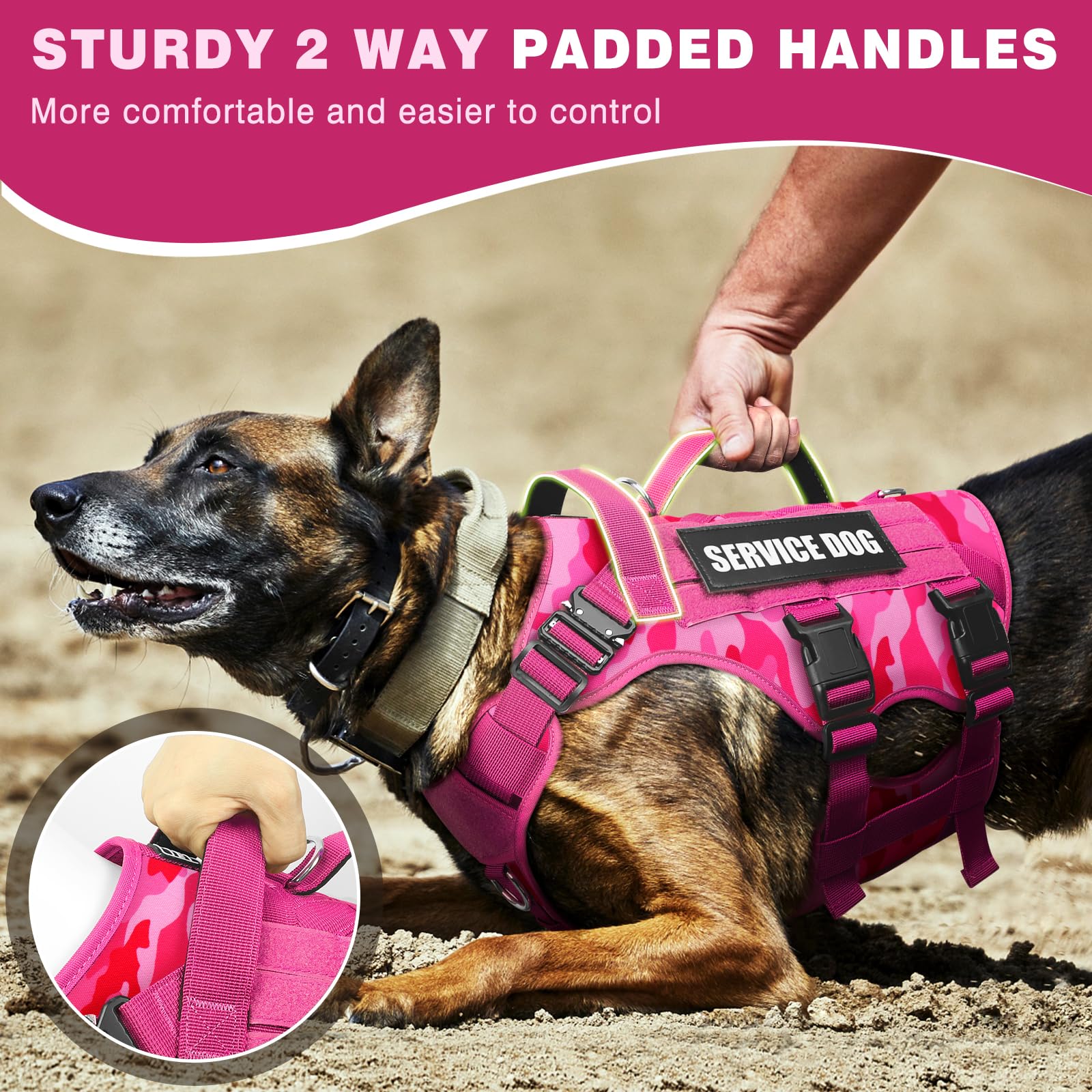 WINSEE dog harness with the included dog patches displayed.