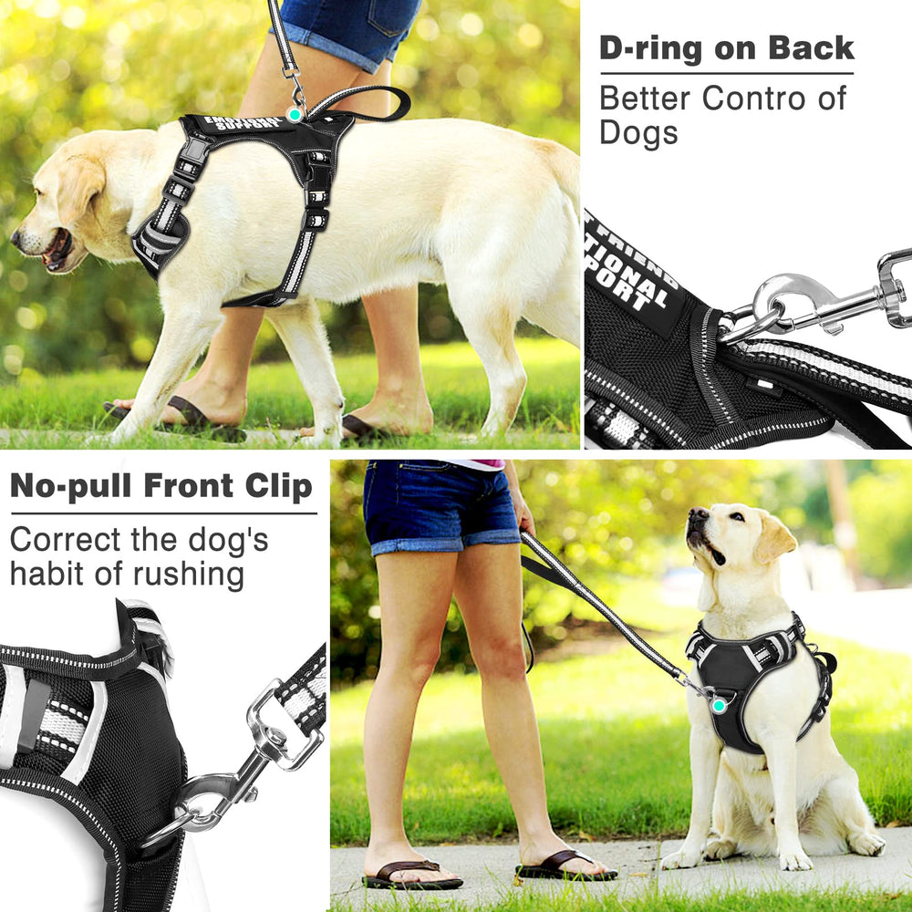 WINSEE dog vest harness showing the rear D-ring and metal leash buckle.
