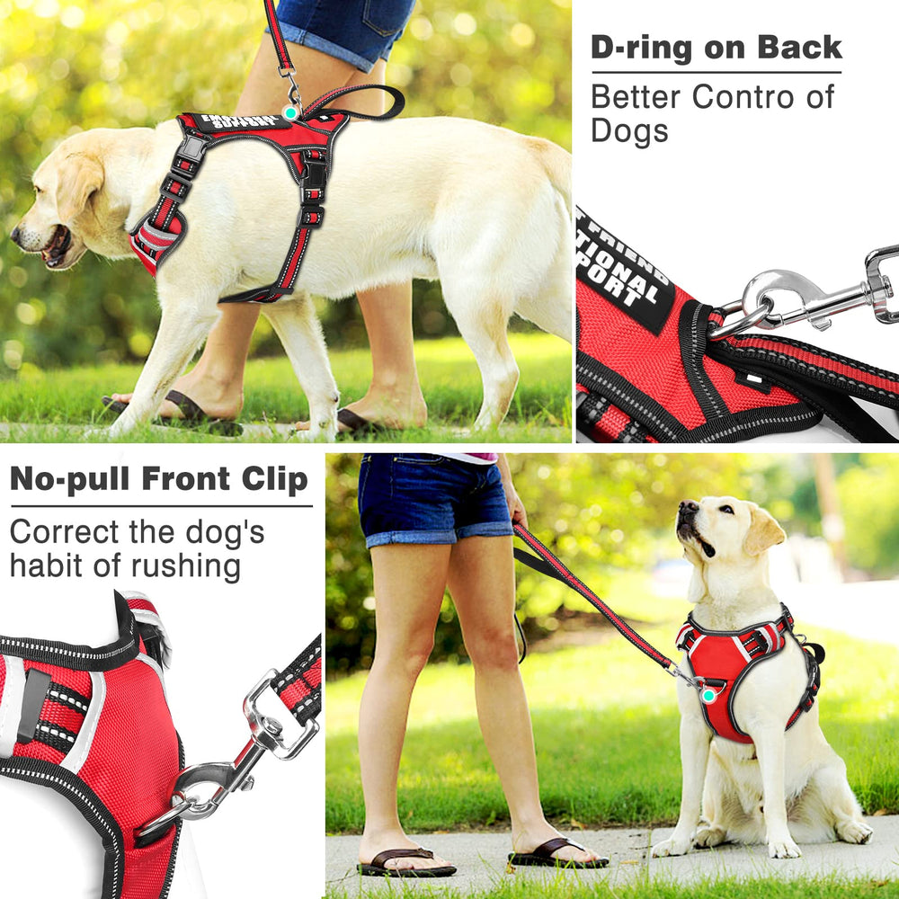 WINSEE dog harness detail showing its rear leash attachment.