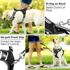 WINSEE dog vest harness showing the rear D-ring and metal leash buckle.