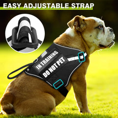 WINSEE dog harness and leash shown with reflective details.