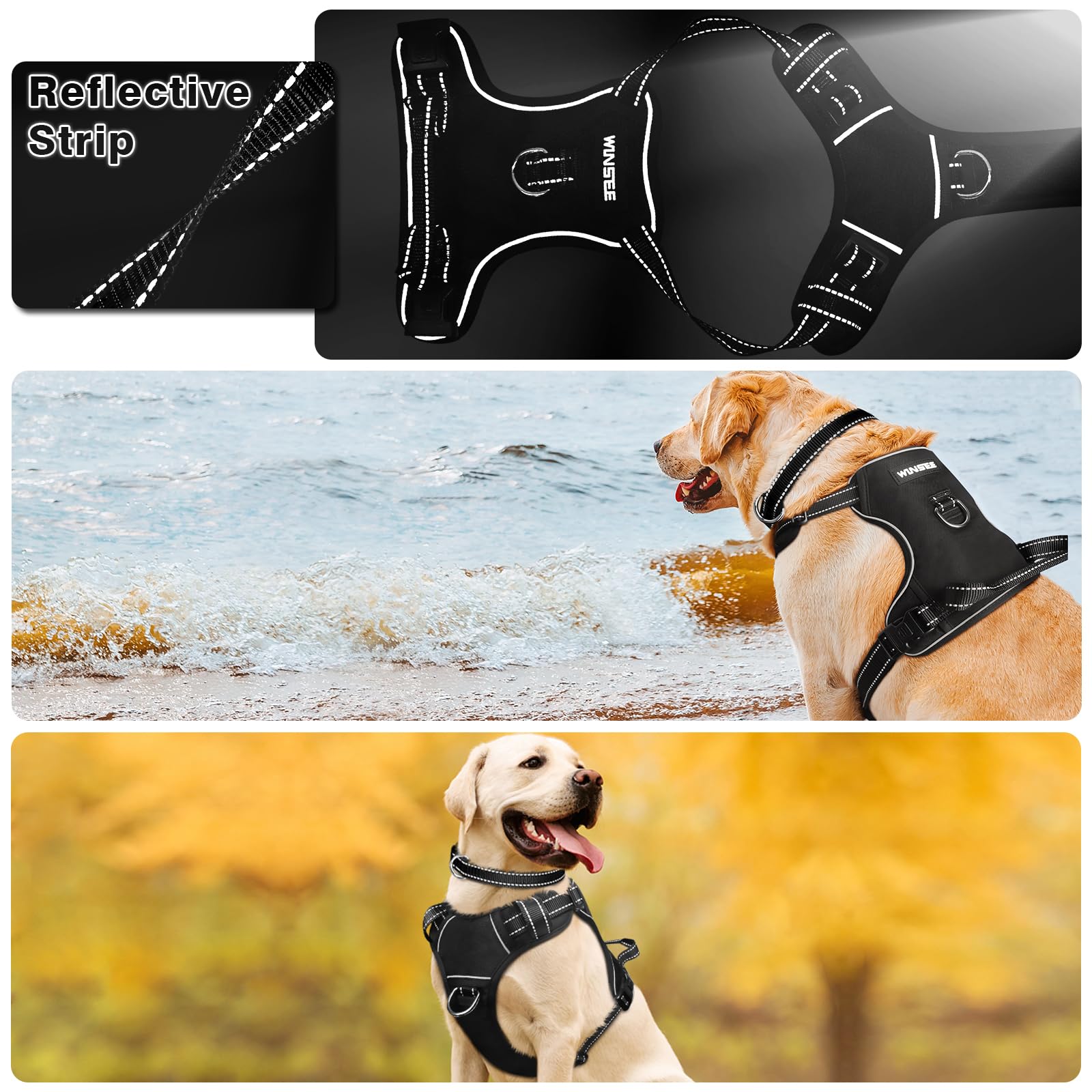 WINSEE dog harness close-up showing reflective straps for low-light walks.