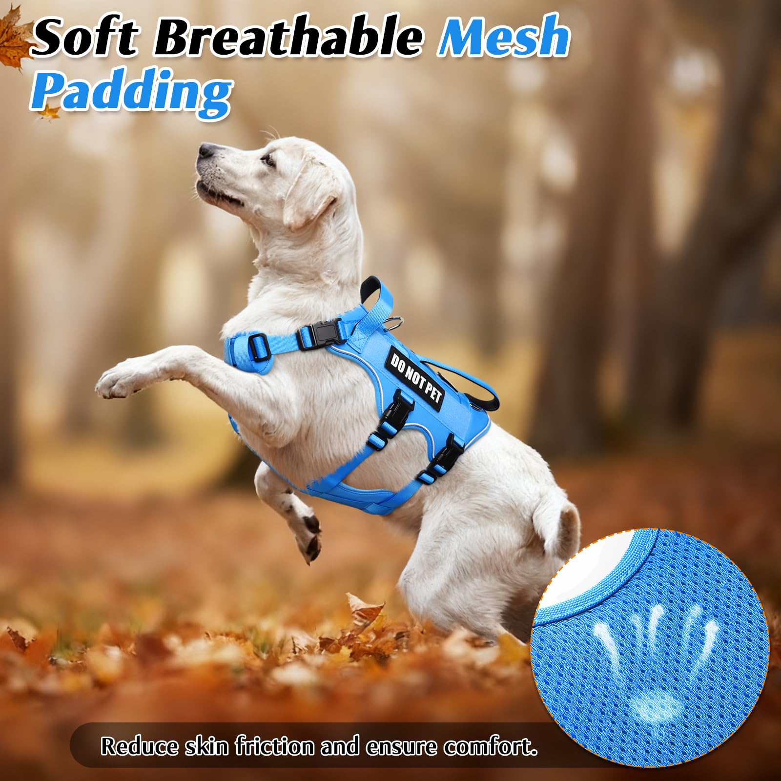 WINSEE dog harness reflective strips shown for added visibility in low-light conditions.