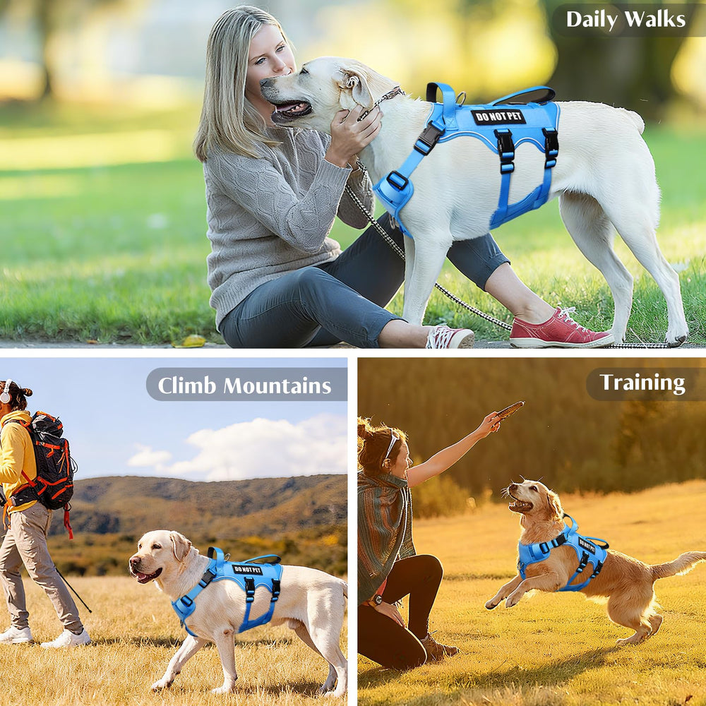 WINSEE dog harness shown with its four removable patches.