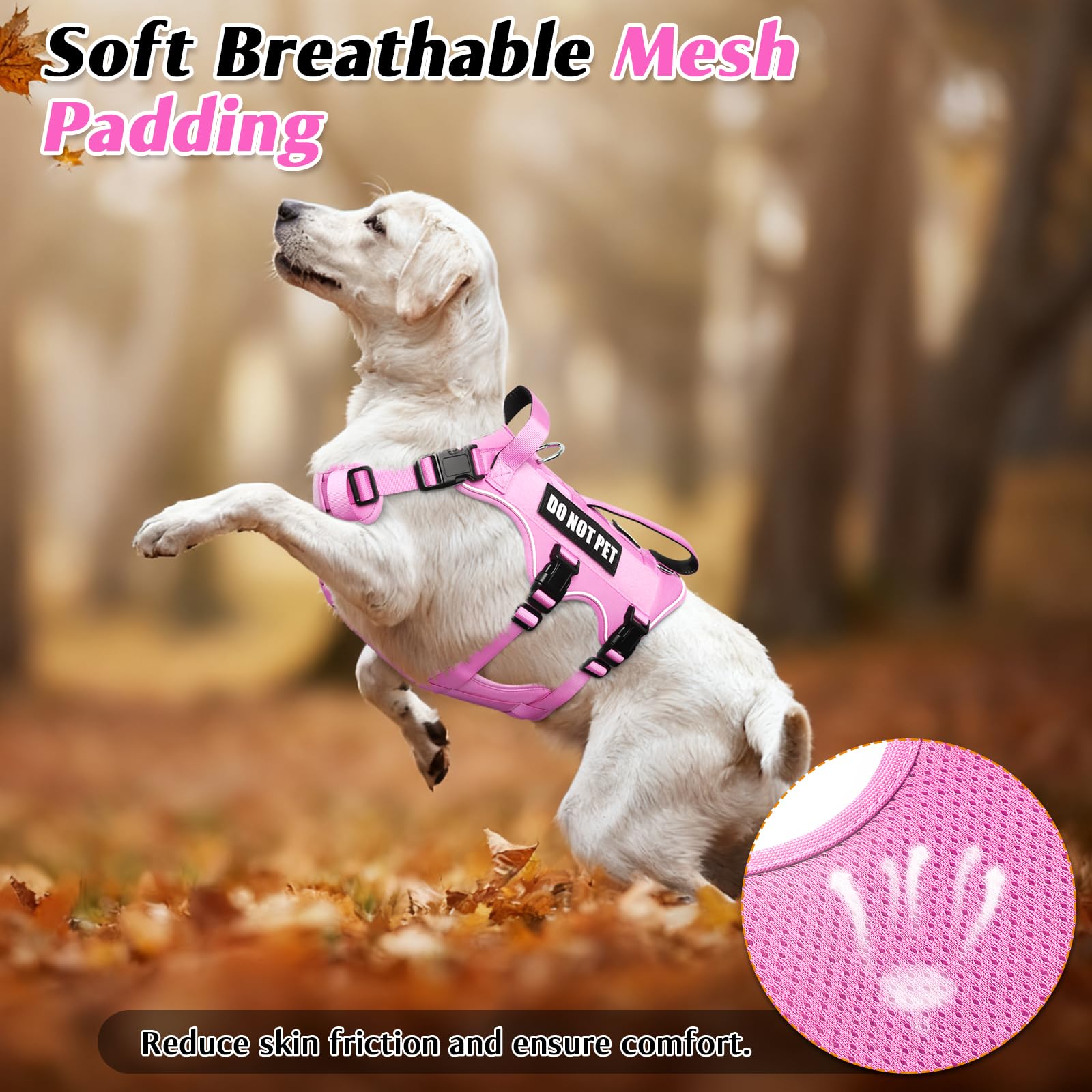 WINSEE dog harness shown with its four removable patches.