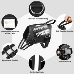 WINSEE dog harness showing its neck and chest quick-release buckles.