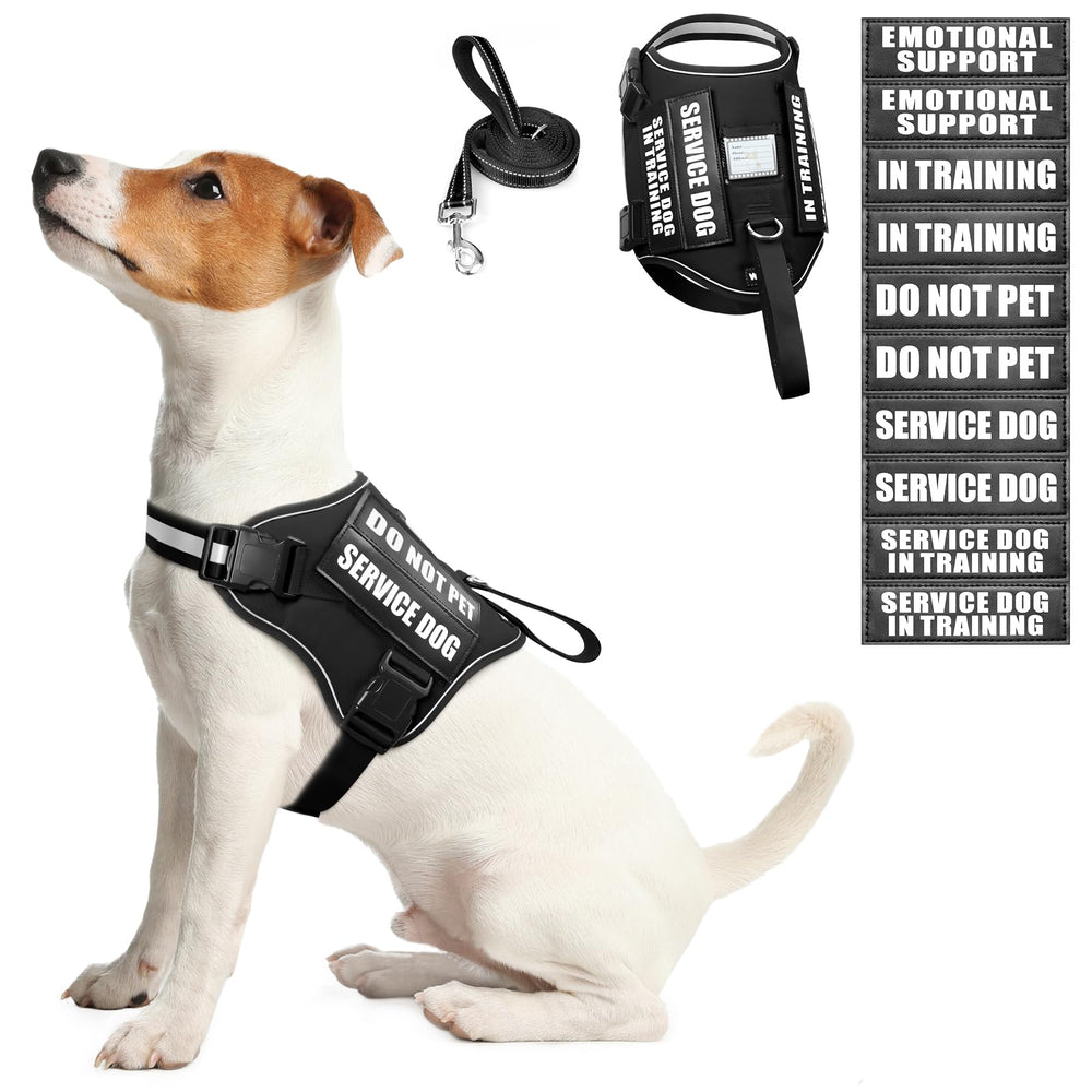 WINSEE dog harness set shown from the front with the black vest and leash.