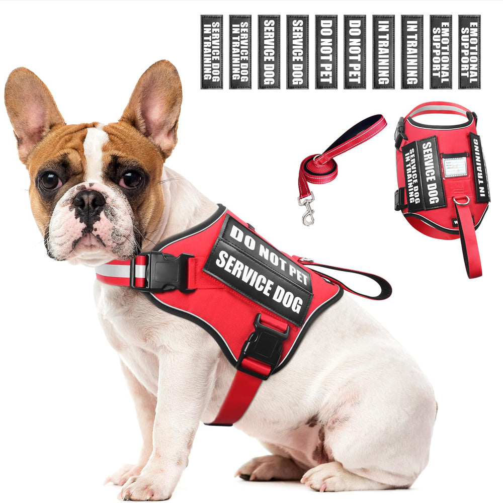 WINSEE dog harness set shown from the front with its vest and leash.