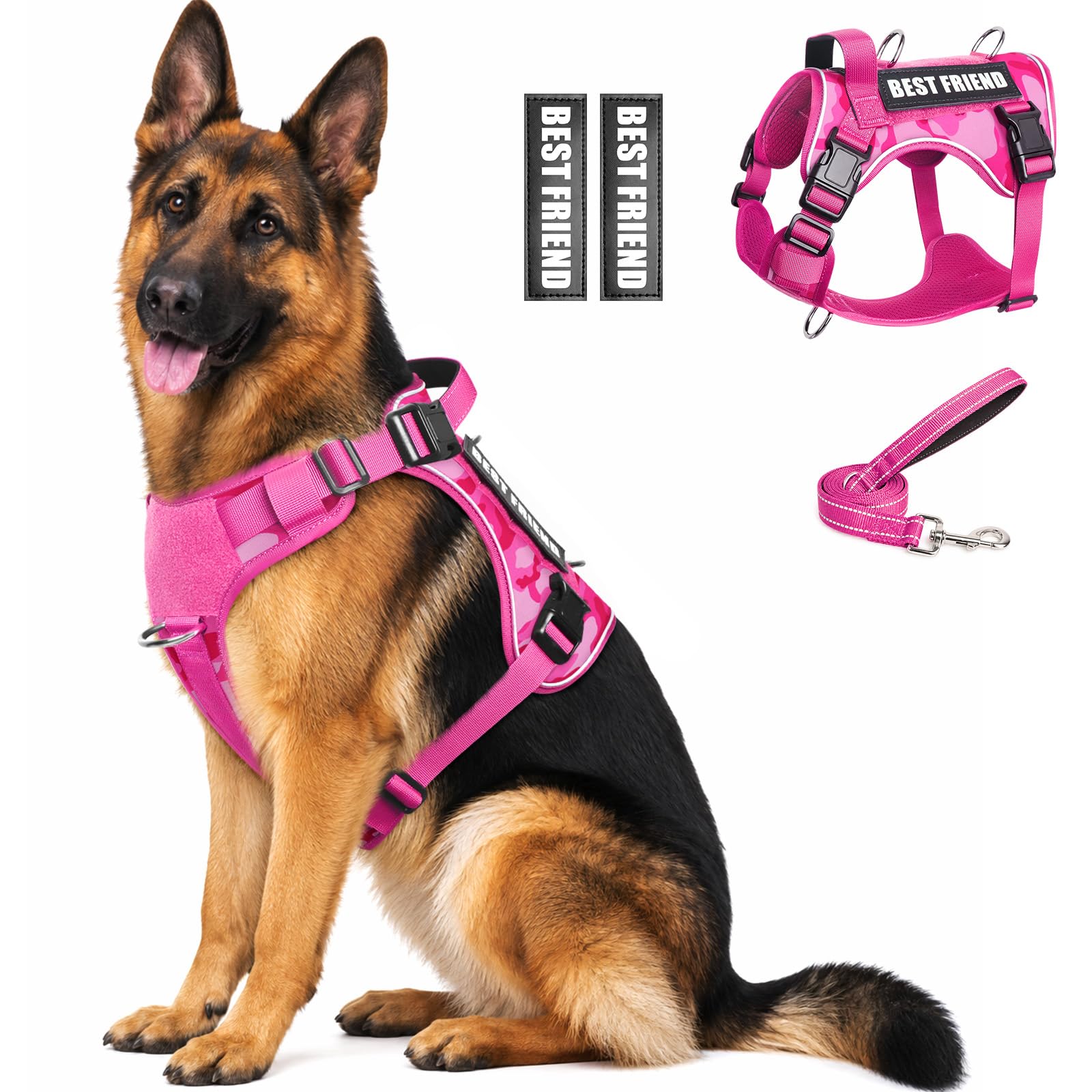 WINSEE tactical dog harness set shown from the front with its leash and patches.